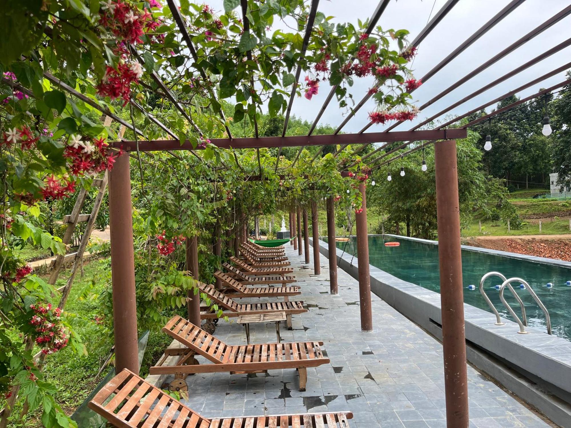 Nguyen Shack Retreat Resort Phong Nha Bagian luar foto