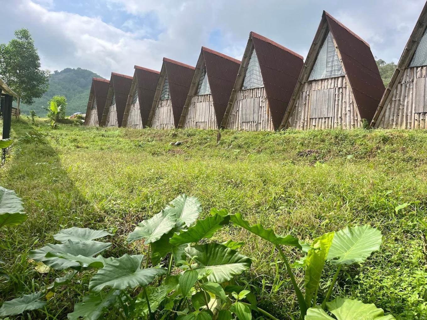 Nguyen Shack Retreat Resort Phong Nha Bagian luar foto